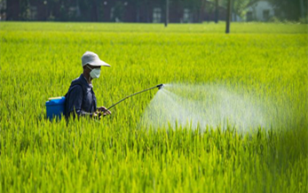 用於（yú）水生生態（tài）係統和地下（xià）水風（fēng）險評估的TOP-Rice模型