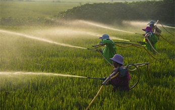 中央1號文件提出了（le）“啟動低毒低殘留八戒影院和（hé）高效（xiào）緩釋肥料使用補助試點”