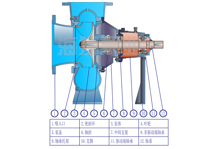 1724050424464393.jpg 66.jpg